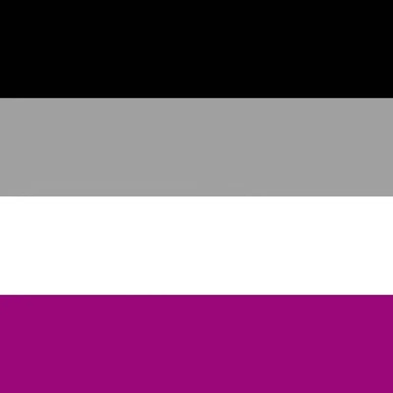 Asexual Pride Flag.jpg