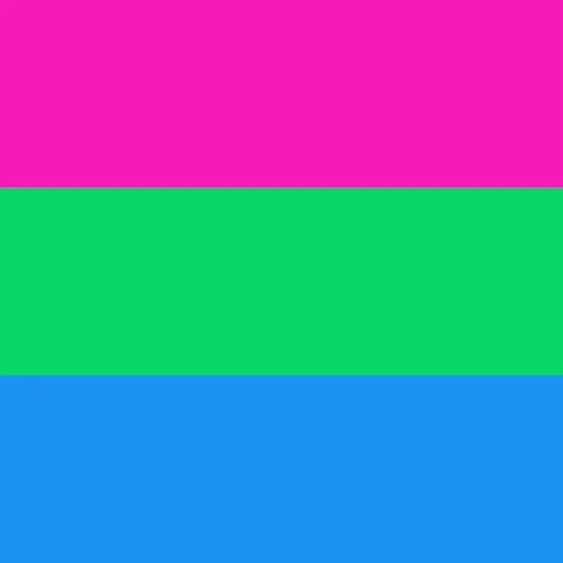 Polysexual Pride Flag.jpg