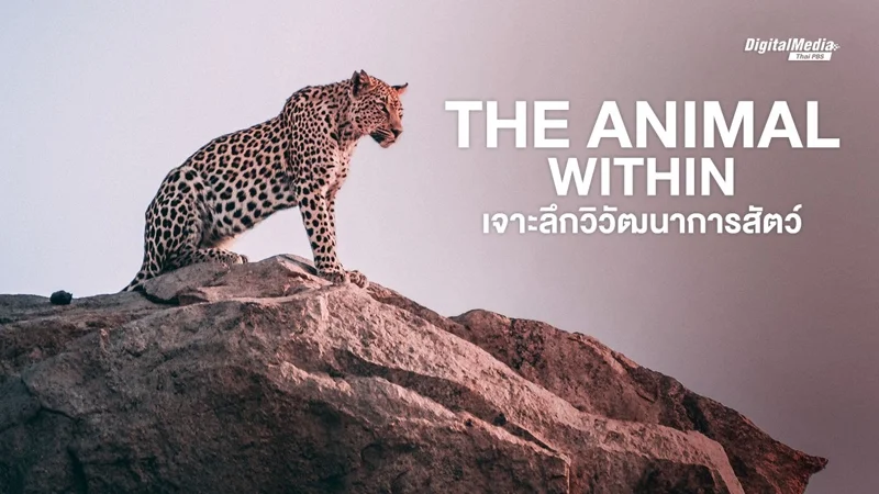 The Animal Within