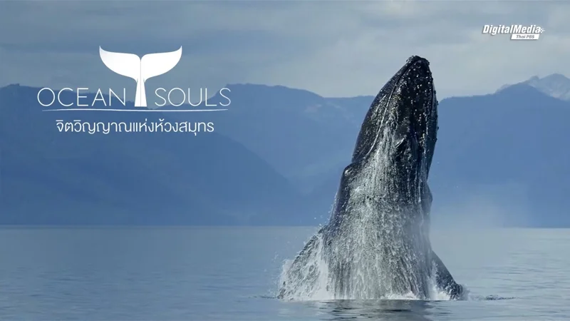 Ocean Souls