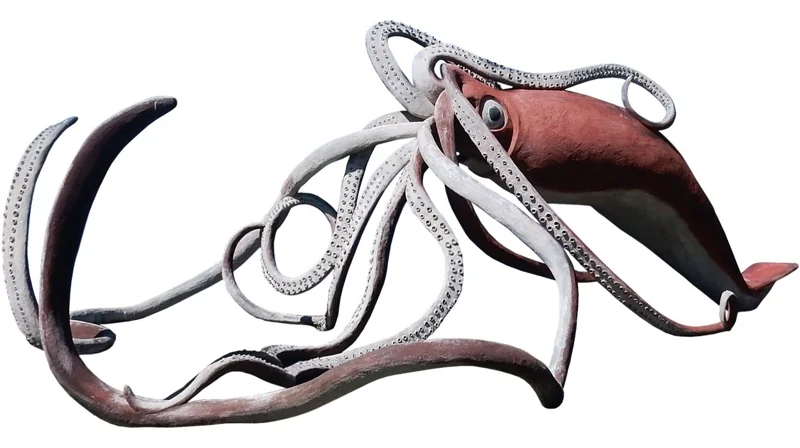 Giant Squid (ชื่อวิทยาศาสตร์: Architeuthis dux)