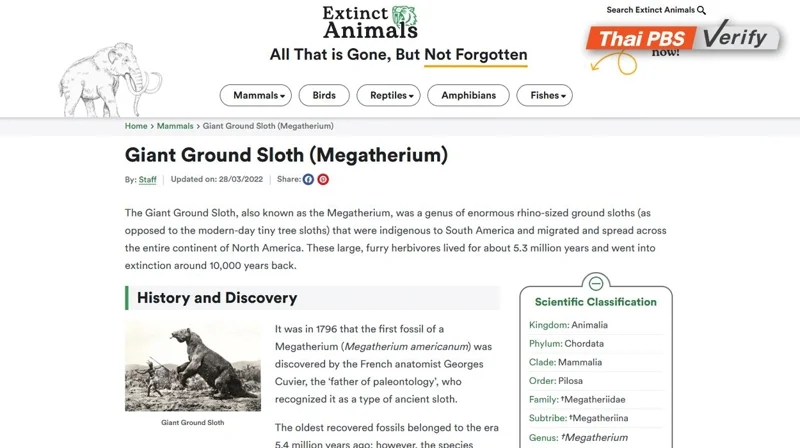 ภาพบันทึกเว็บไซต์ extinct animals นำเสนอบทความ เมกาเทอเรียม หรือ สลอธพื้นดินยักษ์ เมื่อวันที่ 28 มีนาคม 2565