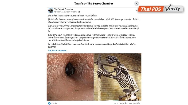 ภาพบันทึกหน้าจอเพจเฟซบุ๊ก The Secret Chamber โพสต์ภาพอุโมงค์ขนาดใหญ่และโครงกระดูกของสัตว์ชนิดหนึ่งซึ่งมีขนาดยักษ์