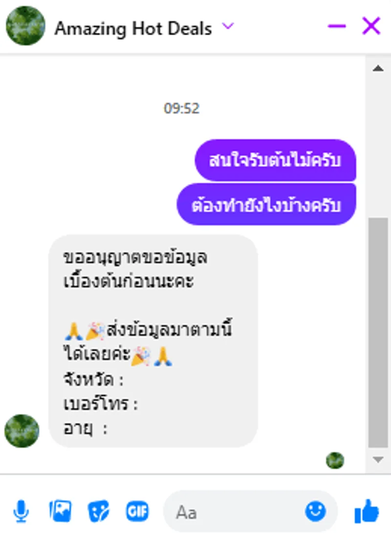 ภาพบันทึกหน้าจอแสดงภาพเพจปลอมที่พยายามขอข้อมูลเบื้องต้นผ่านช่องข้อความ