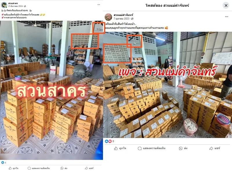 ภาพบันทึกหน้าจอแสดงภาพจากโพสต์ของเพจ "สวนสาคร" (ซ้าย) เปรียบเทียบกับ ภาพจากโพสต์ของเพจ "สวนแม่คำจันทร์" ซึ่งพบหลายจุดที่คาดว่ามาจากที่เดียวกัน (ขวา)