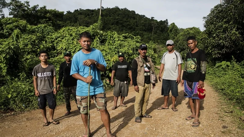ภาพจากสารคดี Delikado
