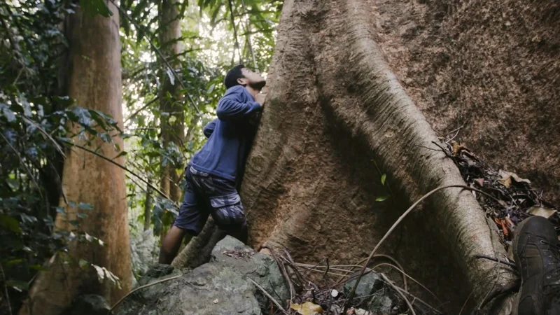 ภาพจากสารคดี Delikado