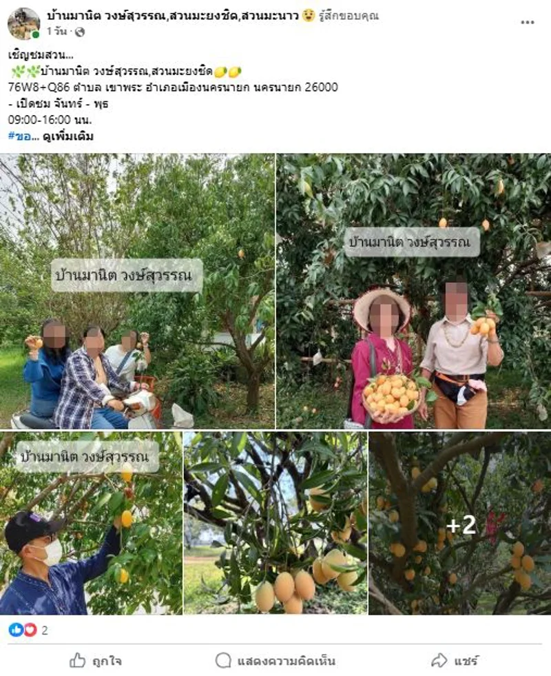 ภาพบันทึกหน้าจอแสดงภาพโพสต์จากเพจปลอม