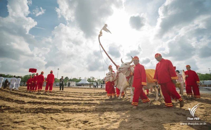ภาพบรรยากาศเตรียมพร้อมพระราชพิธีจรดพระนังคัลแรกนาขวัญ.png