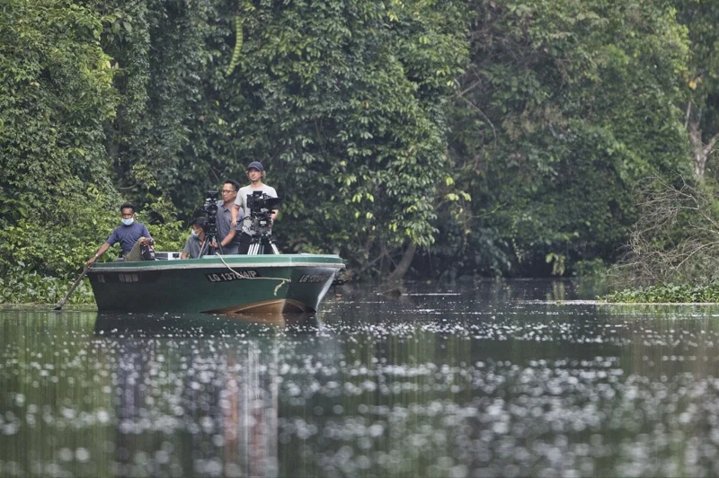 ภาพจากสารคดี Eden: Untamed Planet