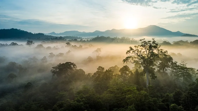 ภาพจากสารคดี Eden: Untamed Planet