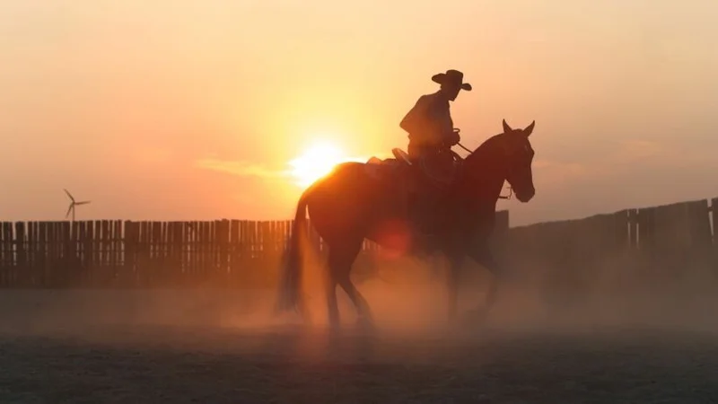 ภาพจากสารคดี Horse Power - American Legacies