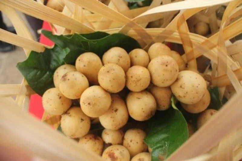 ขอบคุณภาพจากเว็บไซต์ : องค์การบริหารส่วนตำบลตันหยงมัส
