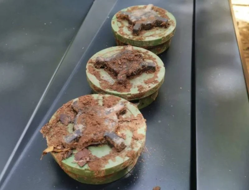 ภาพประกอบบทความ