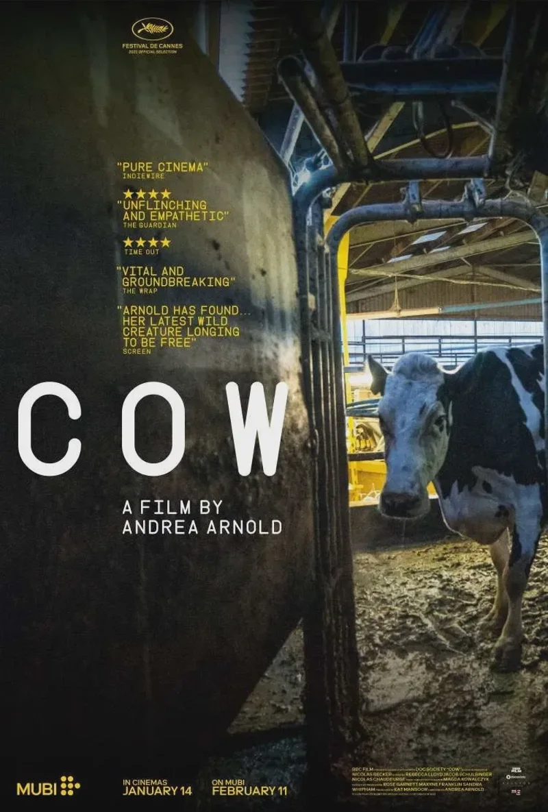 ภาพจากสารคดีเรื่อง COW