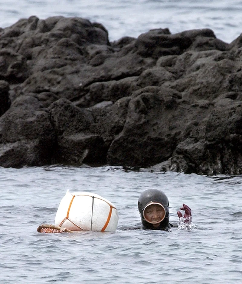 แฮนยอจับสัตว์ทะเลในท้องทะเลเชจู - ที่มา : AFP