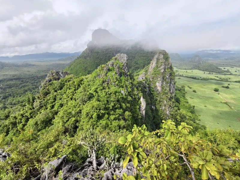 Untouched nature of Si Chomphu (Photo : Facebook เที่ยววิถีสีชมพู)