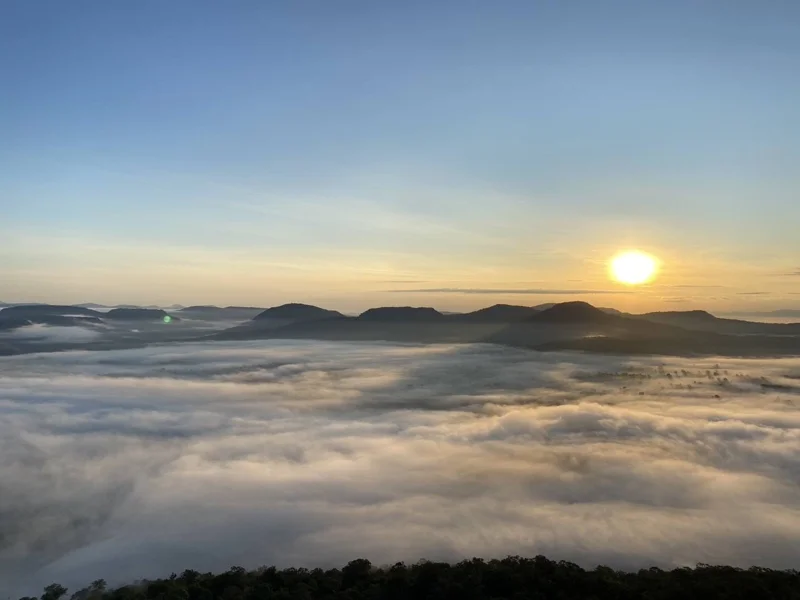 ทะเลหมอกผาชะนะได (ภาพจาก: Facebook อุทยานแห่งชาติผาแต้ม Phataem National Park 9 พ.ย. 68)