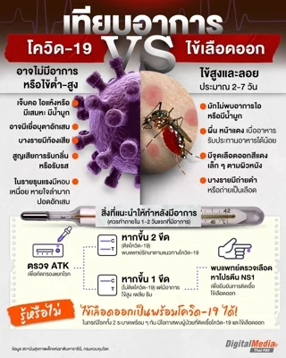 เทียบอาการ “โควิด-19 Vs ไข้เลือดออก”