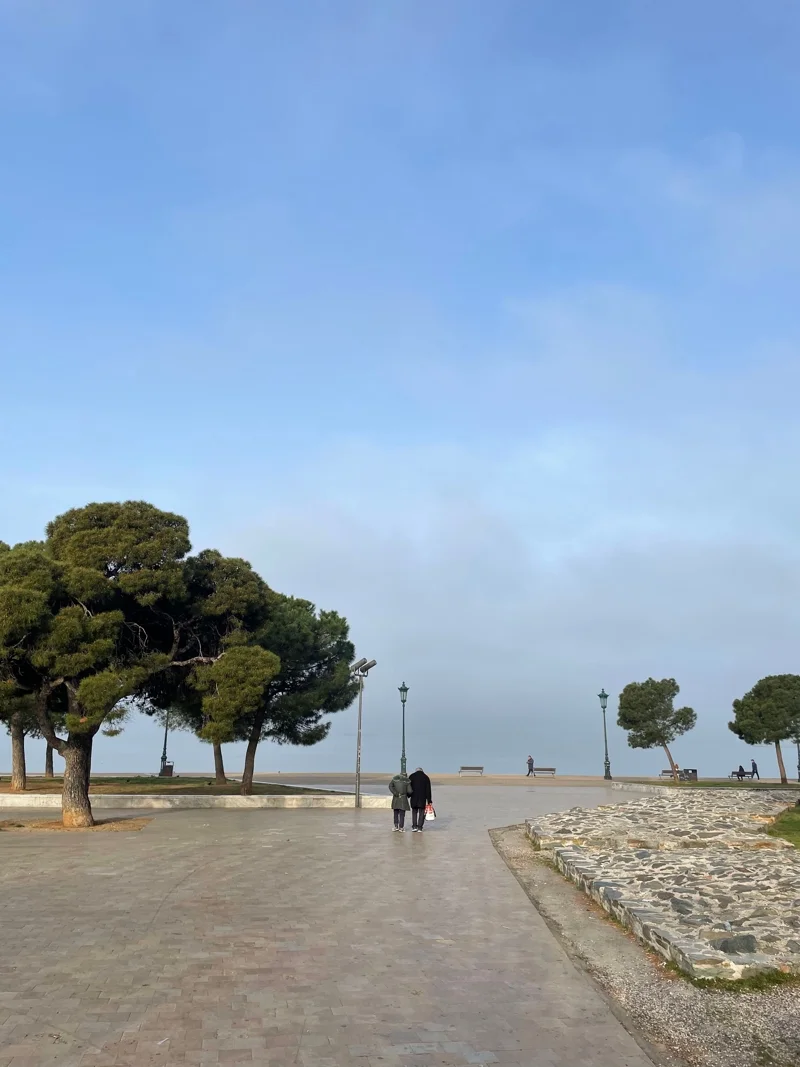 An elderly couple I often met while jogging in the morning